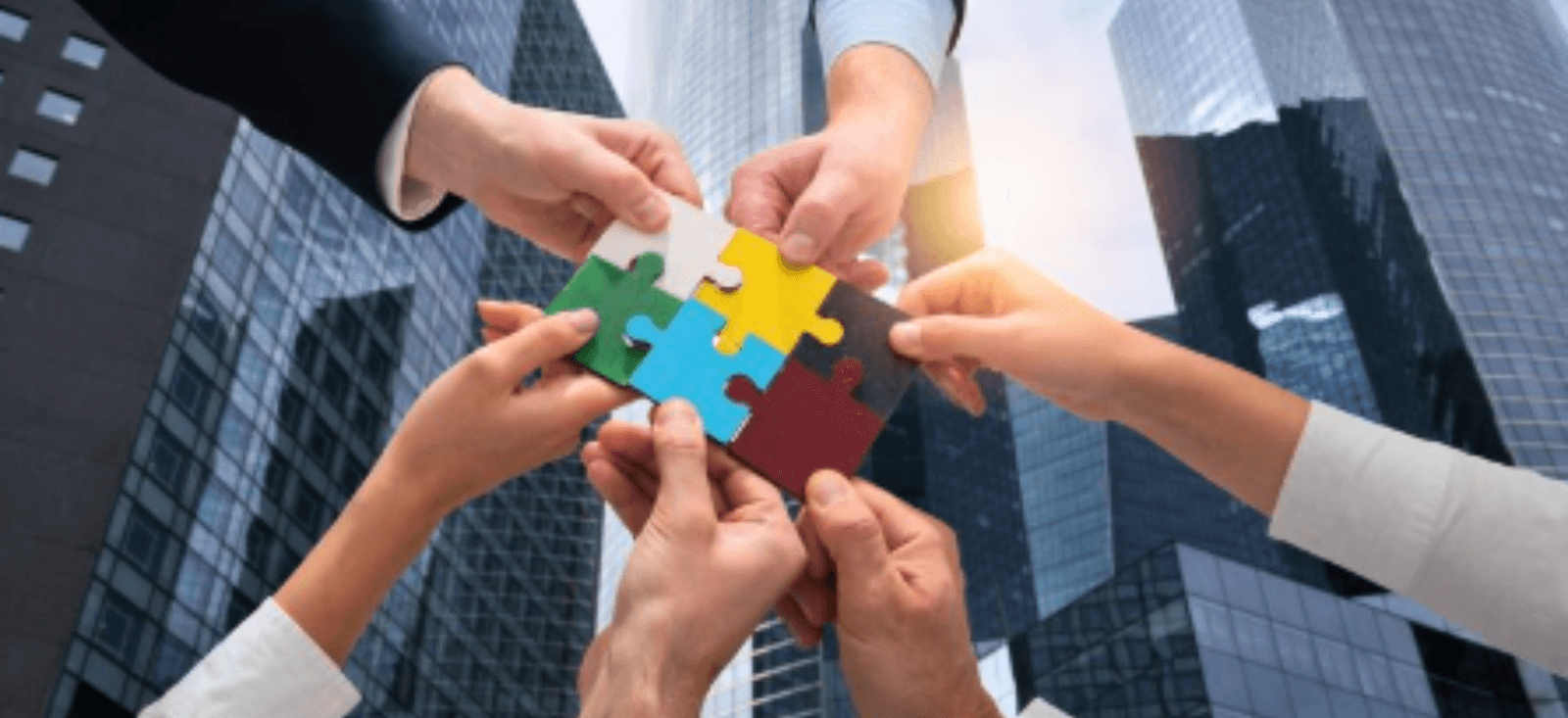 Building a Business Culture That Drives Success - Susan Giddings Consulting